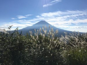 富士山原始林トレイルラン